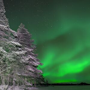 Christmas 2025 in Lapland