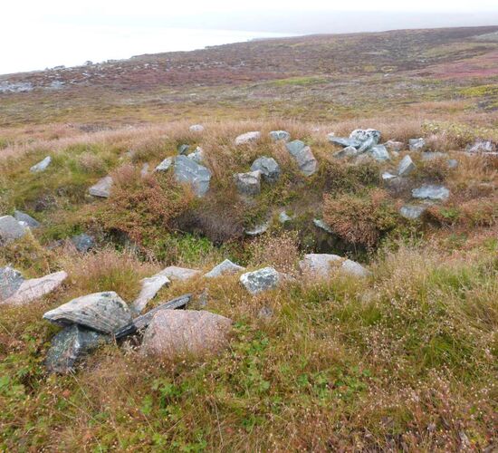 Spitzbergen - Nordost-Grönland - Scoresby Sund, inkl. langen Wanderungen © Grönland