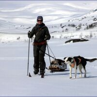 © Huskycamp Gasa