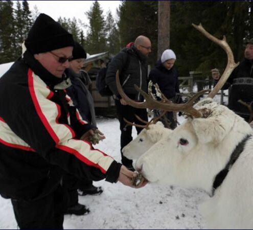 Fjälltour durch Lapplands Wildnis © Huskycamp Gasa
