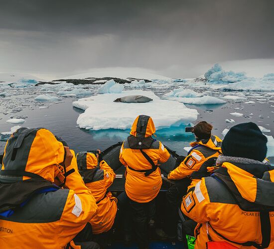 Antarktische Meeressäugetiere: Die Welt der Wale und Robben © activities