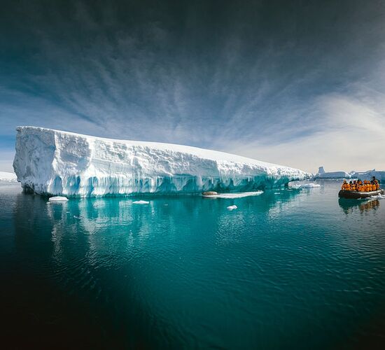 Antarktische Meeressäugetiere: Die Welt der Wale und Robben © activities
