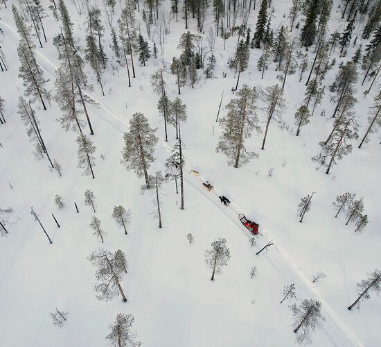 Bilder (67) Huskykompaniet