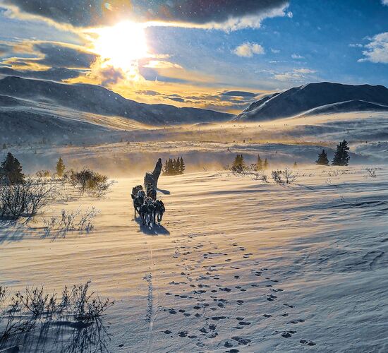Short break with huskies in the Yukon © 23 24