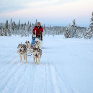 Best of Lapland: action-packed escape full of adventure