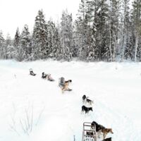 © sörbyn lodge
