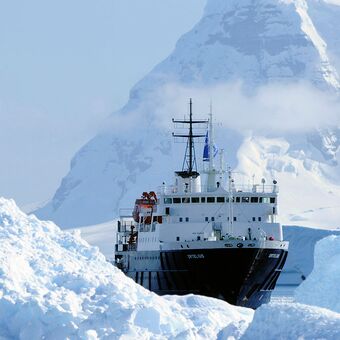m/v Ortelius