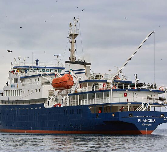 m/v Plancius © ship plancius