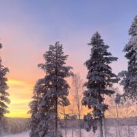 © sörbyn lodge