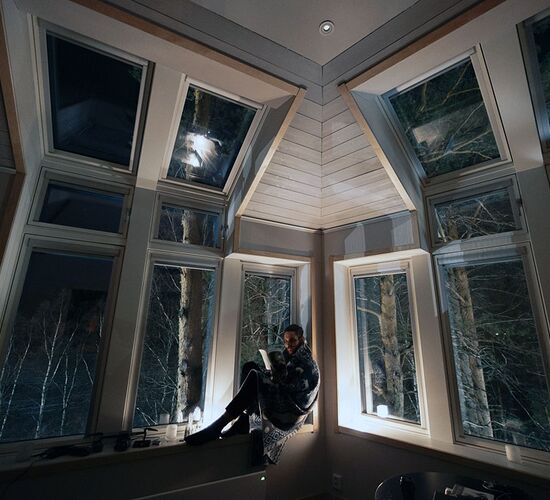 Aurora Tree House © grano beckasin