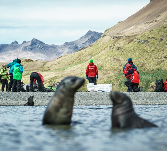 Falkland-Inseln – Südgeorgien – Antarktische Halbinsel © Antarktis alles