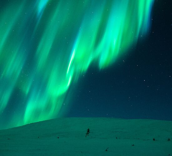 Pure Northern Lights