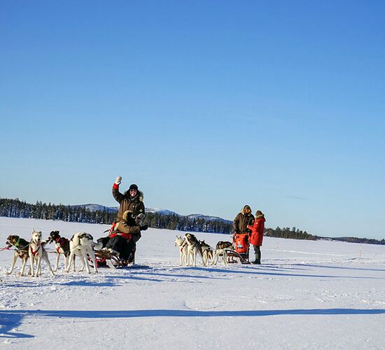 Lapplands Wildnis mit dem eigenen Hundeschlitten © huskykompaniet