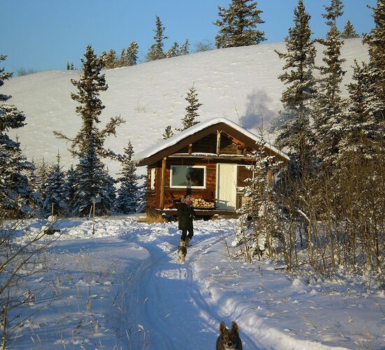 Wilderness tour with huskies in the Yukon © cathers