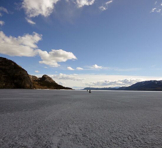 Wildnistour an Yukons Lake Laberge © cathers
