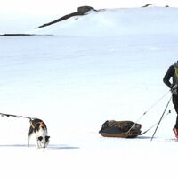 © Huskycamp Gasa