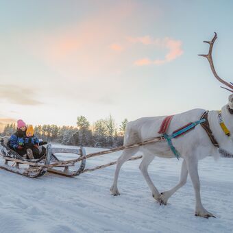 © apukka resort