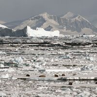 © Antarktis jenseits polarkreis wilkins schelfeis aurora australis