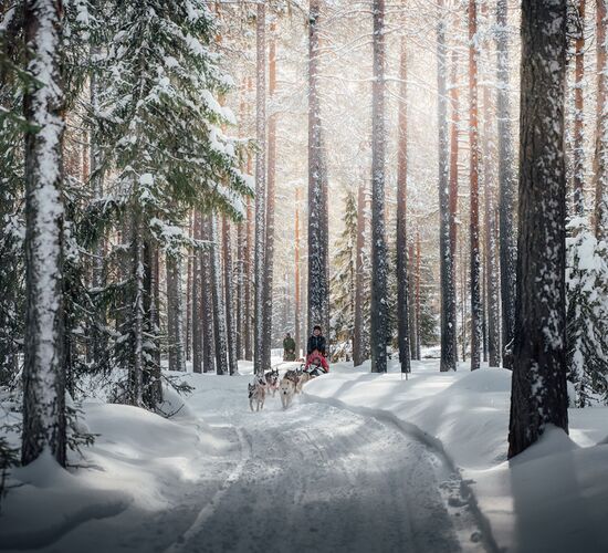 Weihnachtsabenteuer in Schwedisch Lappland © grano beckasin