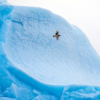 © complete east greenland
