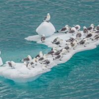 © ultimate greenland adventure