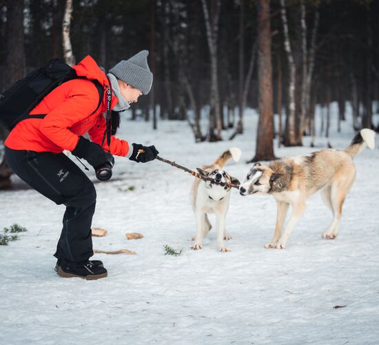 Alta 4 Day Experience © holmenhundecenter