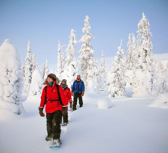 Northern Lights with Direct Flight © Harriniva Hotels & Safaris