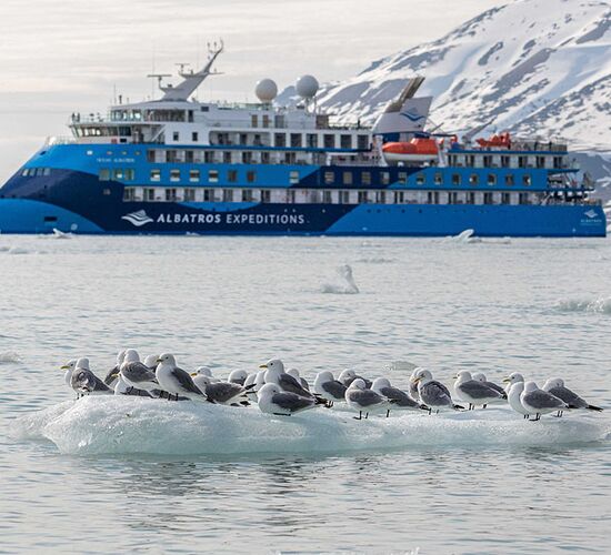Ocean Albatros © ship ocean albatros