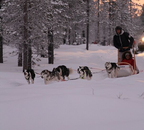 Echte Huskytour von Hütte zu Hütte © hetta husky