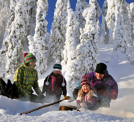 Wilderness sled dog tour Finland © vuokatti