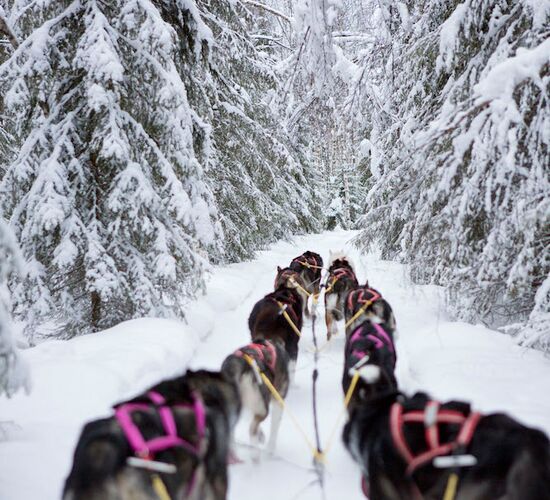 Northern Lights Trip to Swedish Lapland © sörbyn lodge