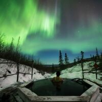 © arctic dog adventure co