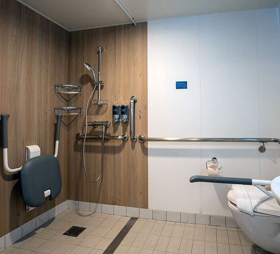 Deluxe Kabine mit Balkon © ship ocean albatros