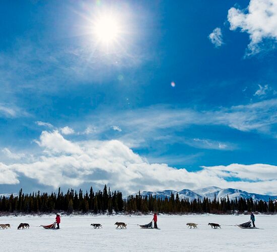 Nordlichtmagie im Yukon © Northern Tales