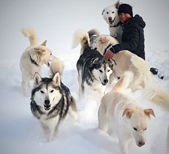 Überlebenstraining in Schweden