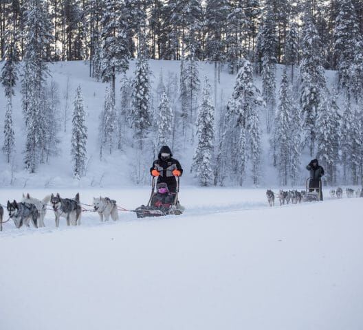 Wild & Luxury Dog Sledding © isosyoete