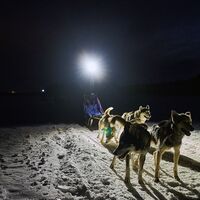 © into the wild husky tours norway