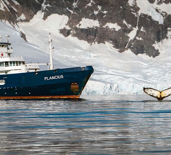 m/v Plancius © ship plancius