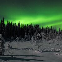 © petterkarlsson