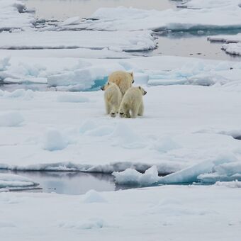 © Nordspitzbergen