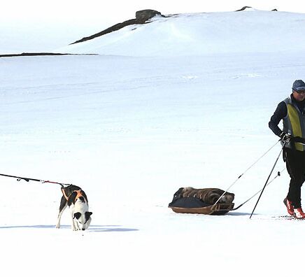 Pulkatour mit Ski und Husky © Huskycamp Gasa