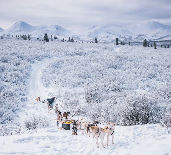 Husky lodge holiday in snowy Canada © 23 24