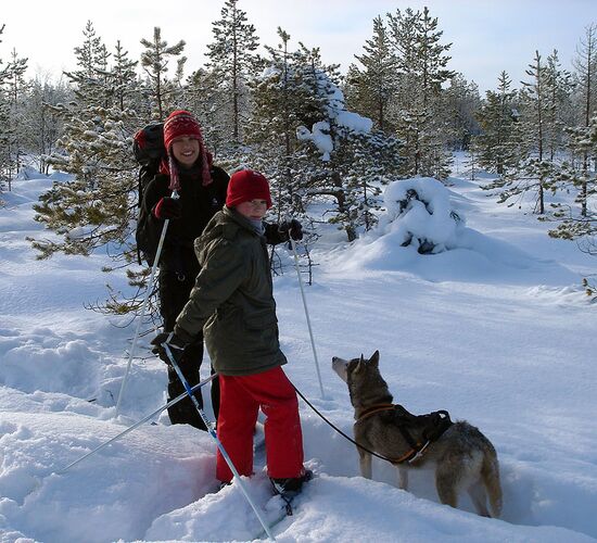 Weihnachten 2026 in Lappland © saija