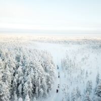 © sörbyn lodge