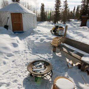 Dog Sledding Expedition: Mushing historic trapper trails across Yukon