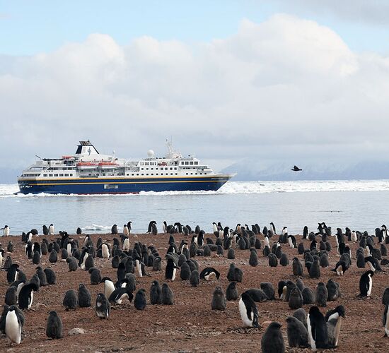 Vergessene Inseln des Südpazifiks: Subantarktische Inseln © ship heritage adventurer
