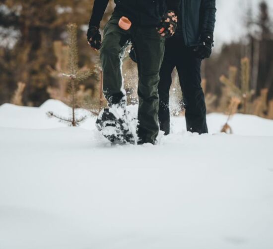 Snowshoe hike through Luleå's nature © explore lulea