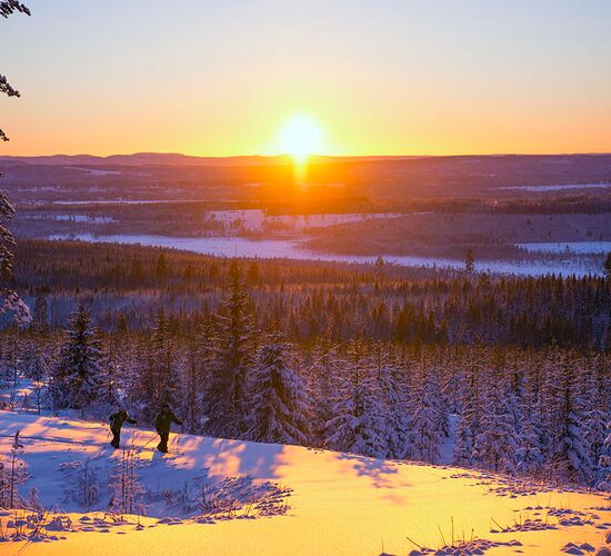 Weekend trip with Huskies and Northern Lights © grano beckasin