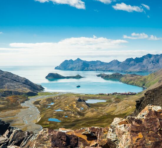 Falkland-Inseln – Südgeorgien – Antarktische Halbinsel © Antarktis alles