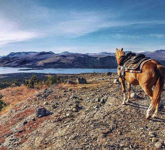 Schlittenhundetour im traumhaften Yukon © Kristina Kapusnakova